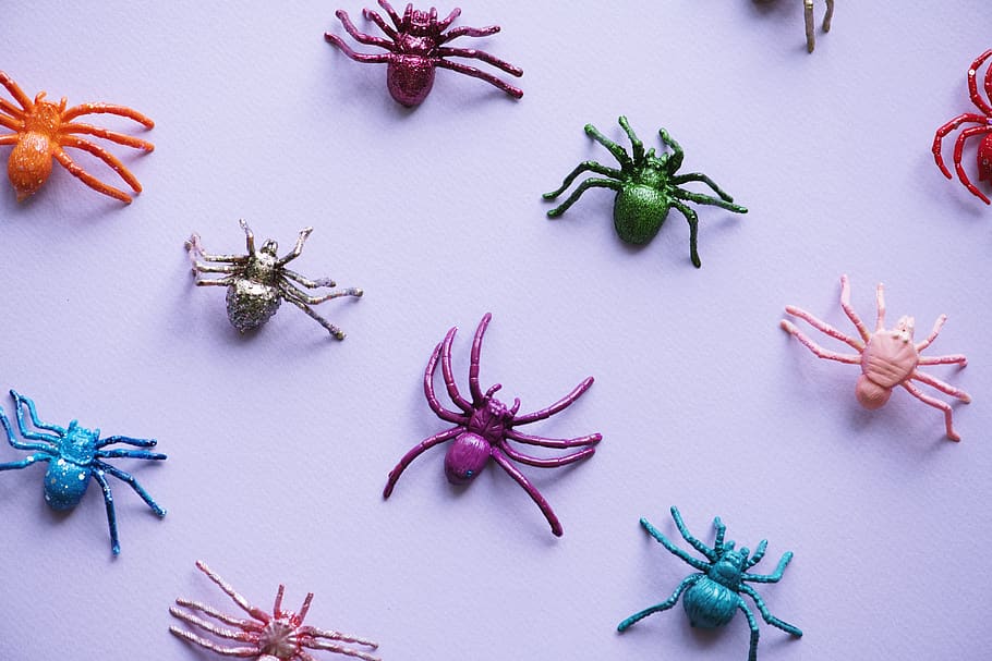spider, christmas, animal, arachnid, artificial, no people HD wallpaper
