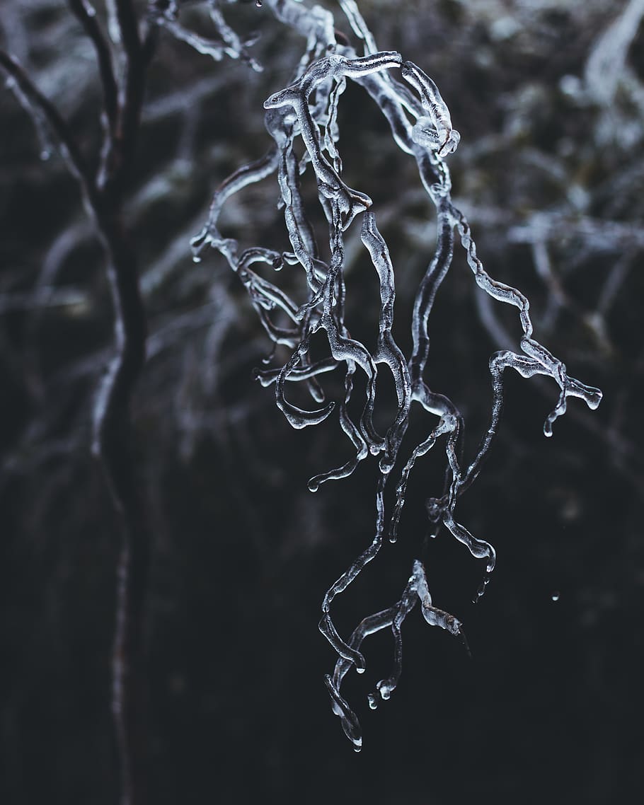 ice formation view, cold temperature, close-up, frozen, focus on foreground HD wallpaper