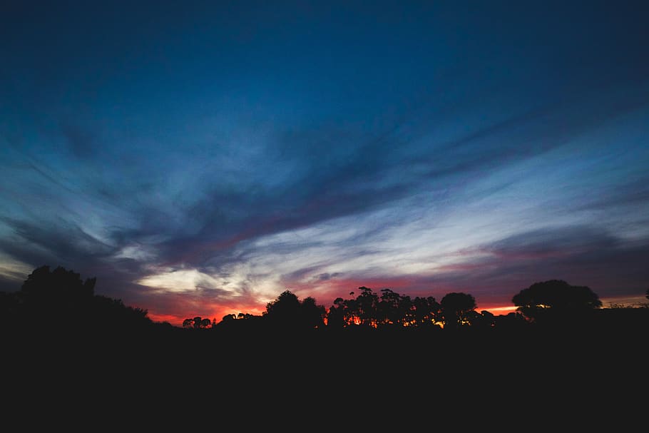 silhouette, dark, sky, clouds, trees, sunset, nature, aesthetic HD wallpaper