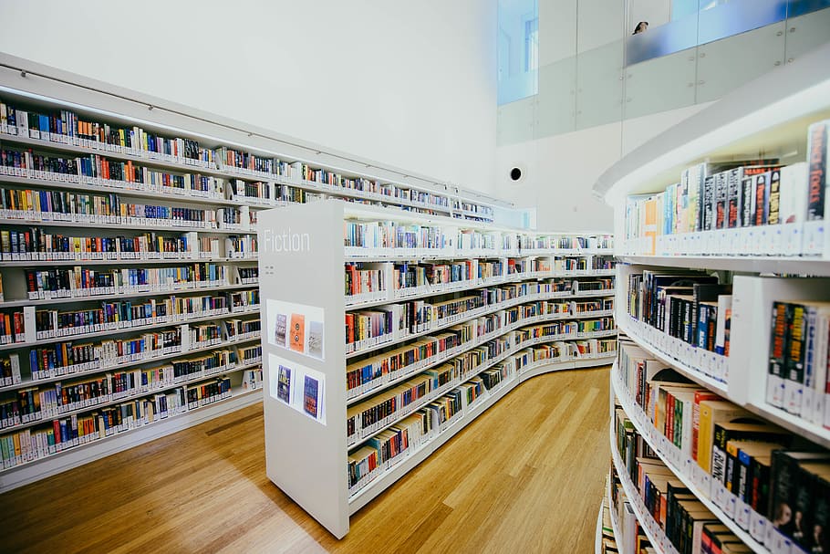 books on shelf, education, library, publication, bookshelf, indoors HD wallpaper