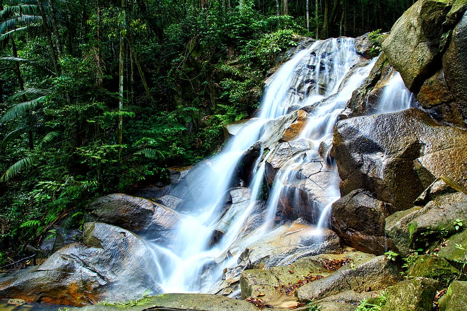 Waterfalls With Brown Stones, cascade, environment, flow, forest HD wallpaper