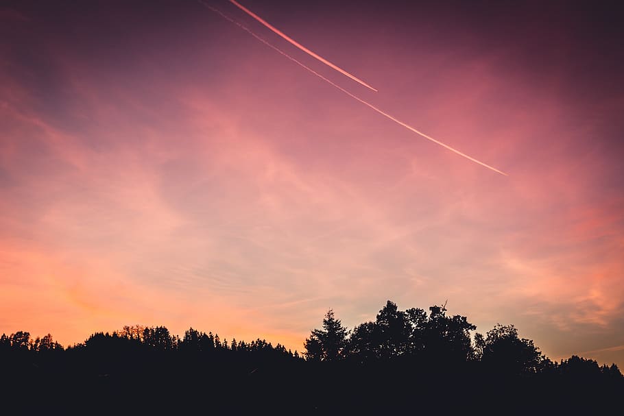 sunset, dusk, contrails, clouds, trees, forest, silhouette HD wallpaper