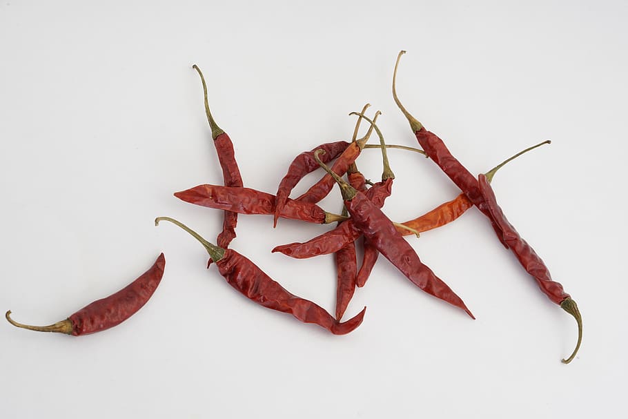 chilli, red, ingredients, food, food and drink, spice, white background HD wallpaper
