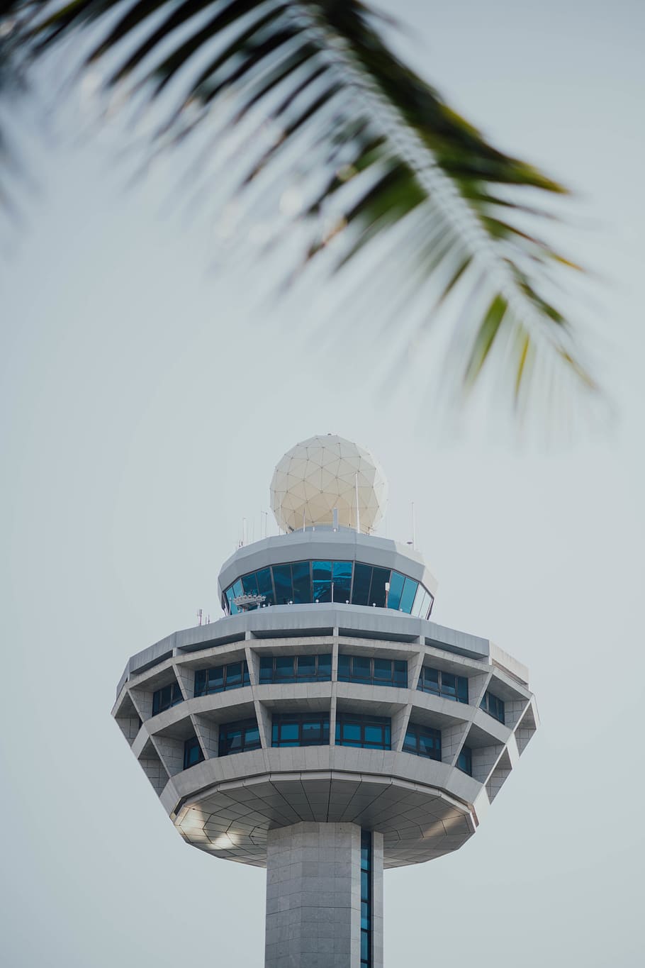 white tower, building, architecture, control tower, palm tree HD wallpaper