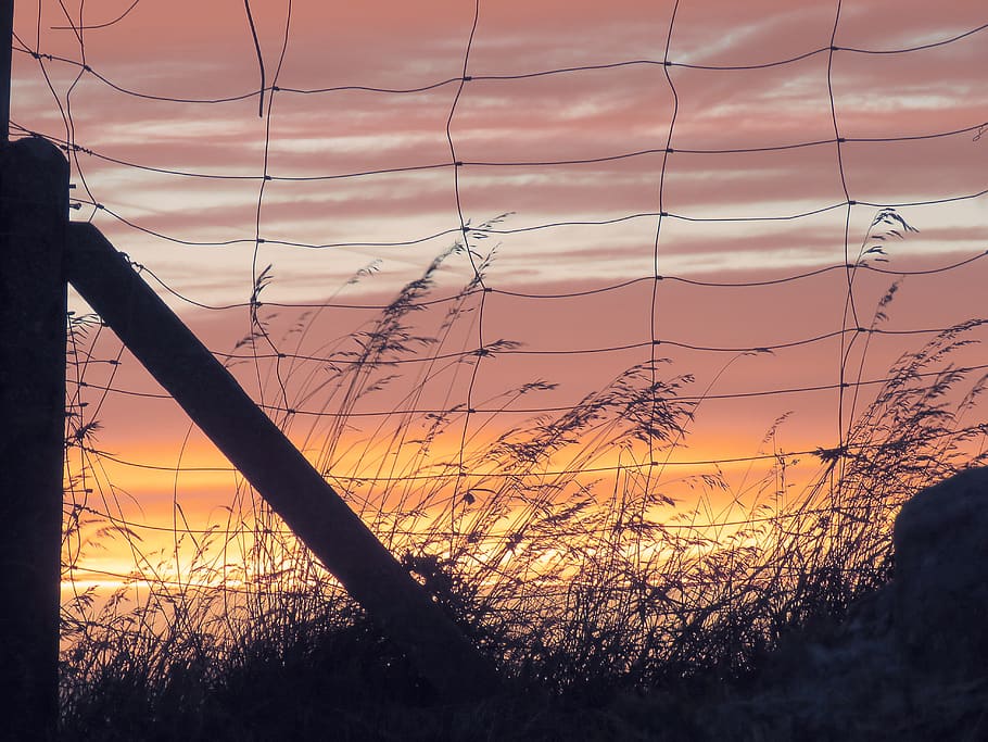 landscape, grass, sunset, sky, cloud - sky, plant, nature, no people HD wallpaper