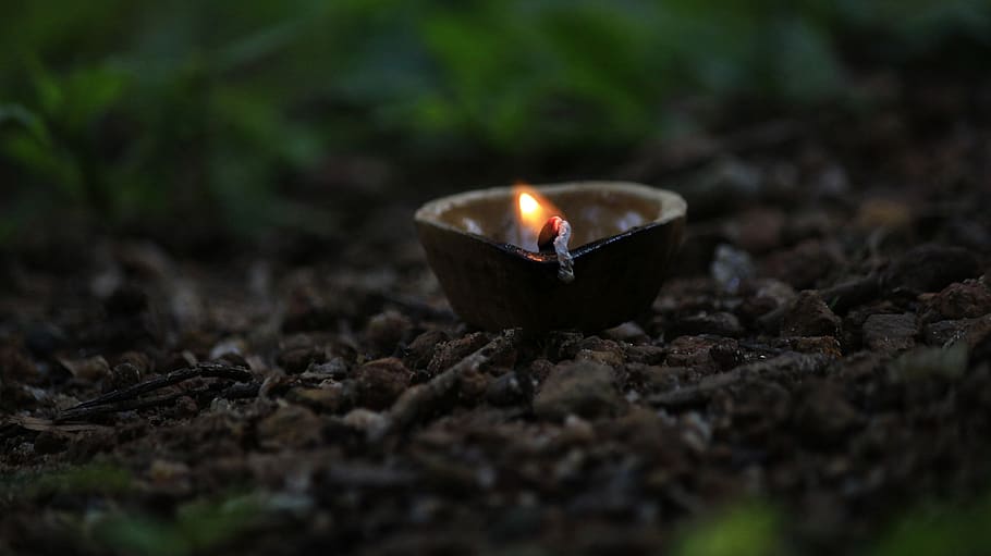 candlelights, diwali, burning, fire, flame, fire - natural phenomenon HD wallpaper