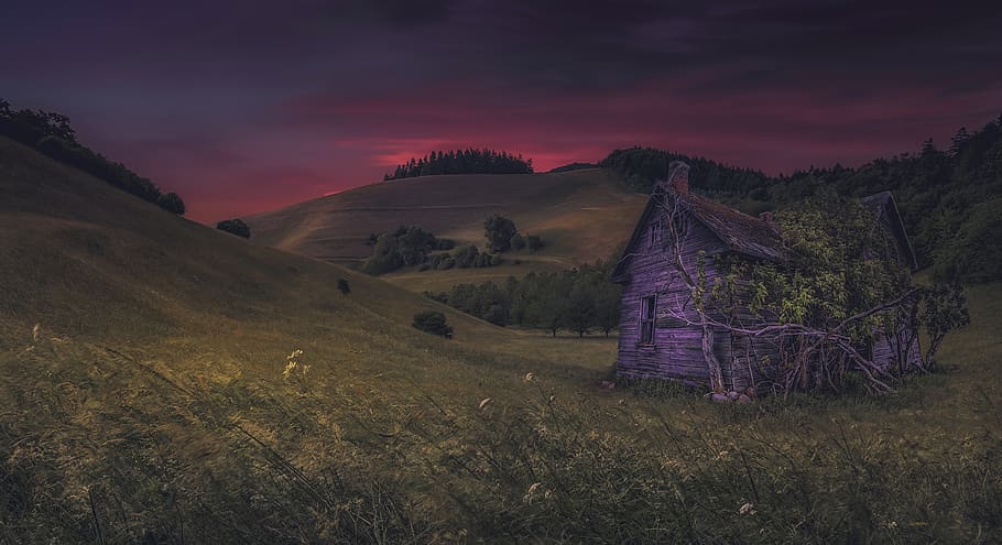 evening, hut, meadow, landscape, sky, environment, scenics - nature HD wallpaper