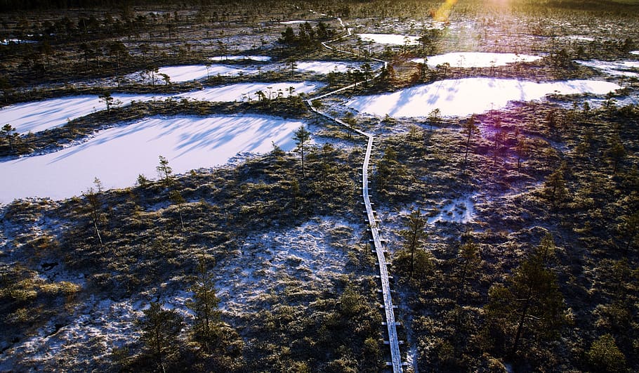 Aerial Photo of Frozen Lakes Surrounded by Trees, aerial view HD wallpaper