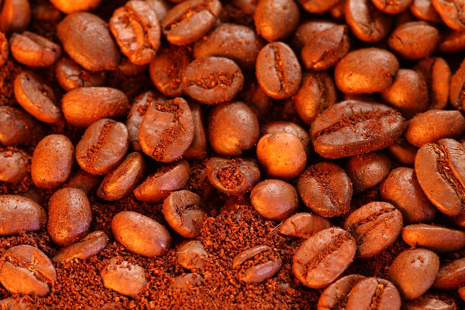 bean, background, macro, pattern, food, drink, dark, photography HD wallpaper