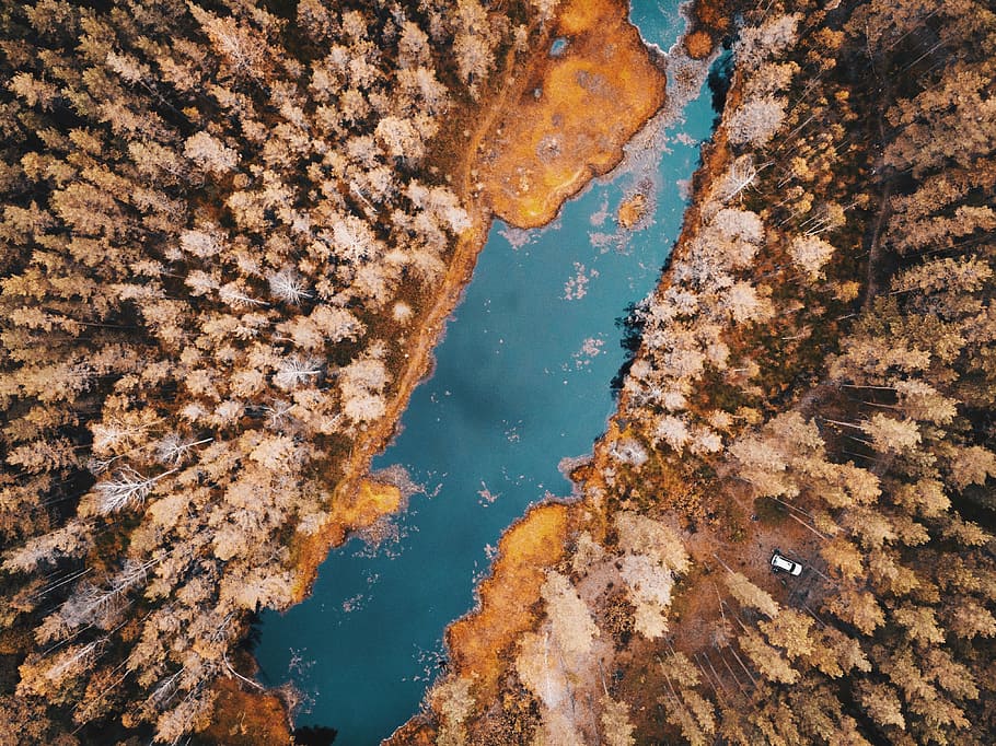 bird's eye view photography of body of water between trees, lake HD wallpaper