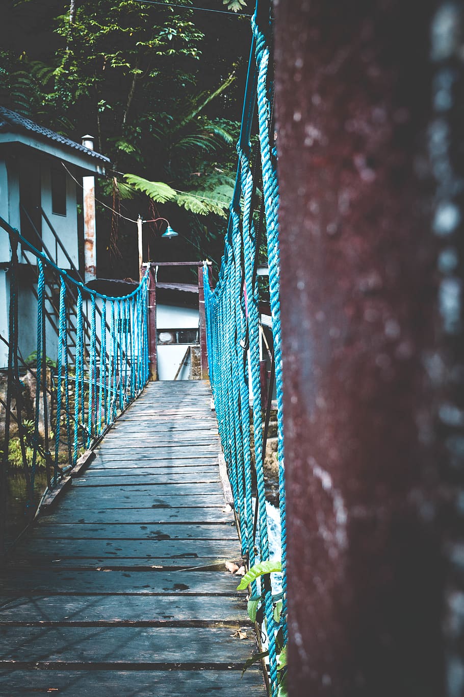 Hanging Bridge Selective-focus Photography, architecture, light HD wallpaper
