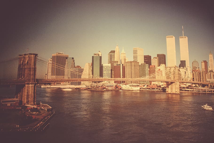 cityscape during daytime, building, urban, town, high rise, metropolis HD wallpaper