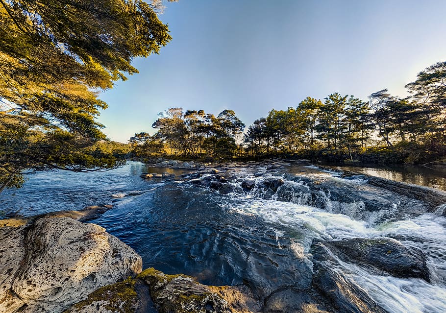 water, river, stream, trees, rocks, wild, nature, rapids, flowing HD wallpaper