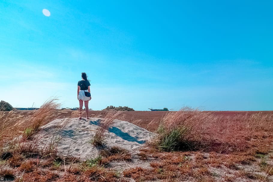 Woman Standing Beside Wheat Field, adventure, breeze, desert HD wallpaper