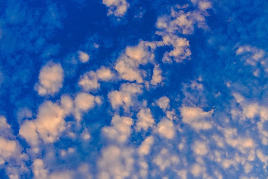 Photo of White Cloud Blue Skies, background, blue sky, bright HD wallpaper