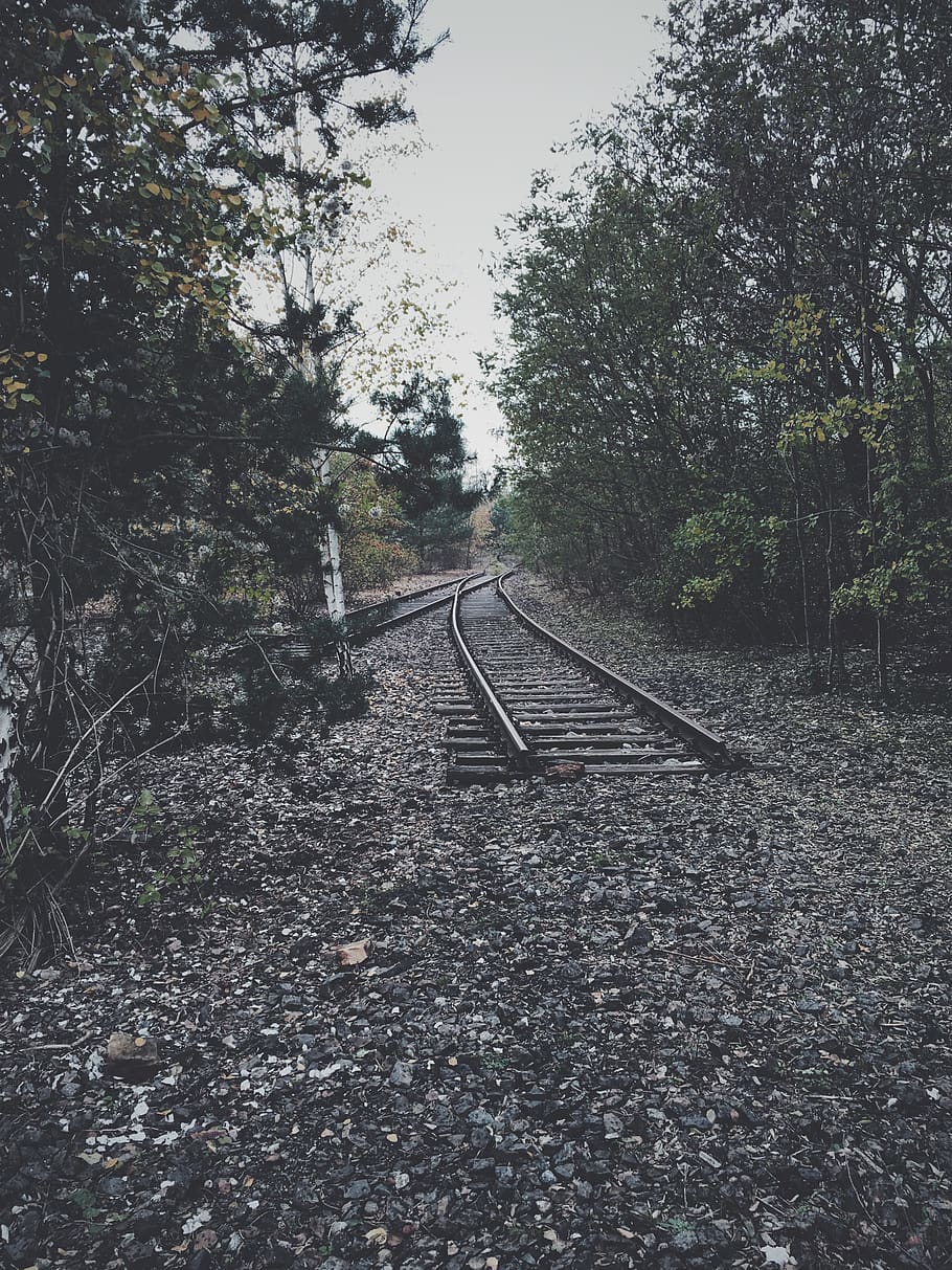 germany, berlin, tree, plant, rail transportation, track, no people HD wallpaper