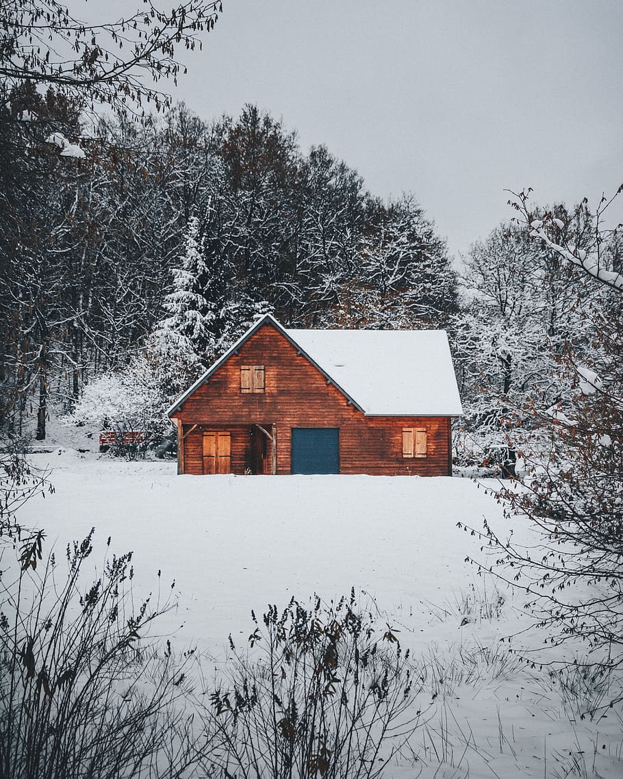 Selective Color Photography of Brown House, cabin, cold, daylight