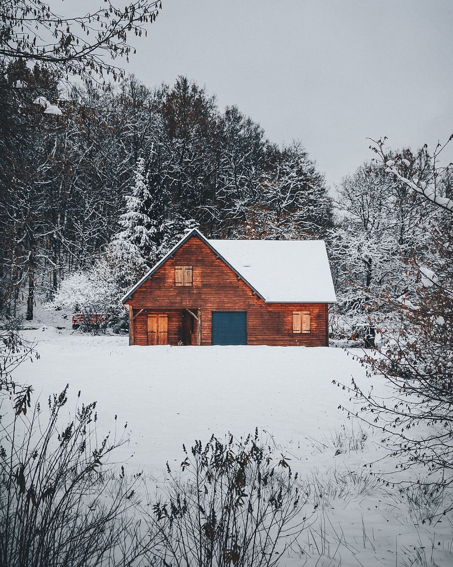 Selective Color Photography of Brown House, cabin, cold, daylight HD wallpaper