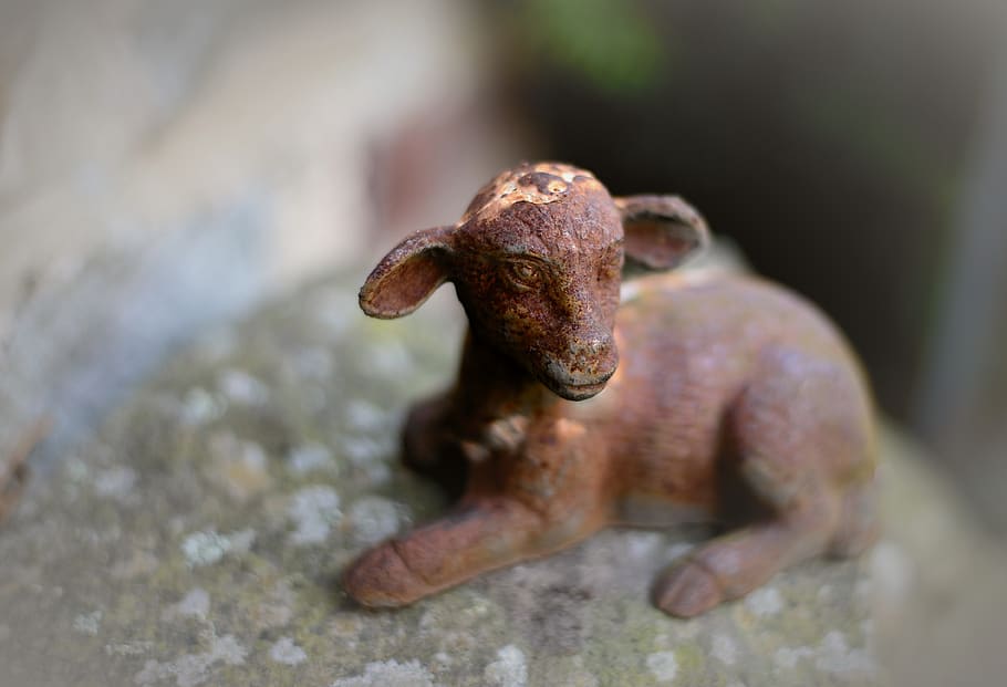 passover, lamb, figure, sculpture, metal, iron, rusty, rusted HD wallpaper