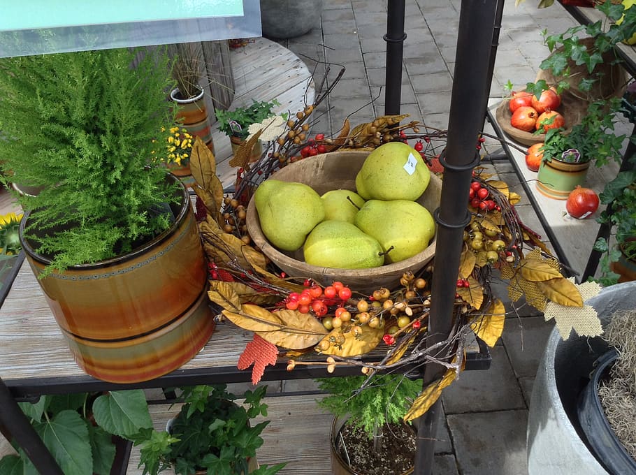 food and drink, healthy eating, fruit, freshness, wellbeing HD wallpaper
