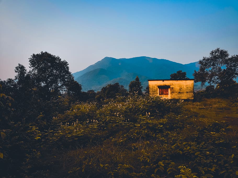House Near Trees Facing Mountain Range, blue sky, clouds, evening HD wallpaper