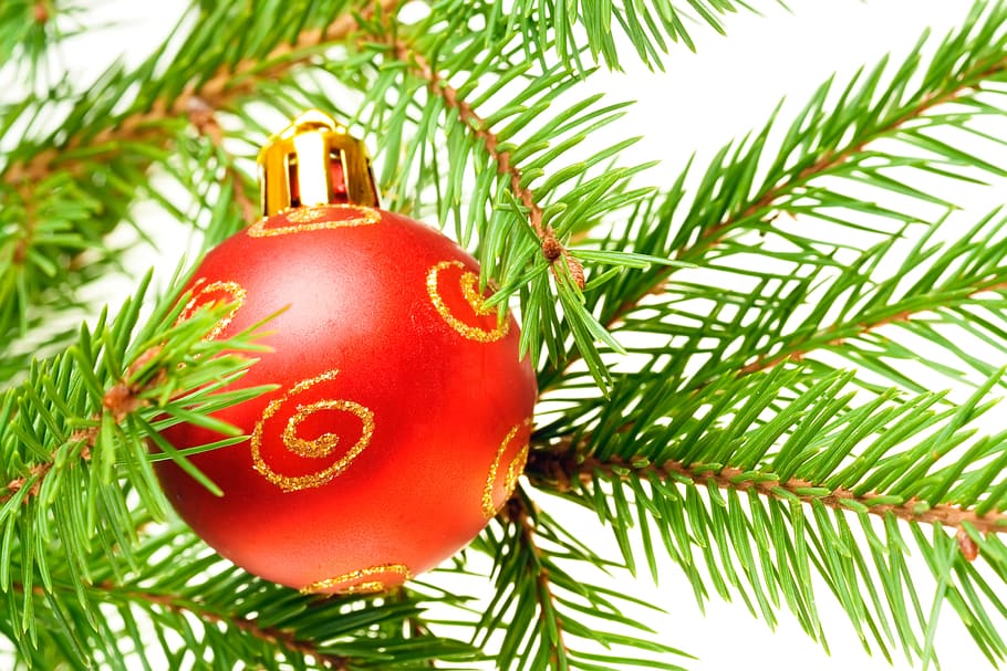 ball, xmas, tree, branch, fir, pine, sphere, new, christmas HD wallpaper