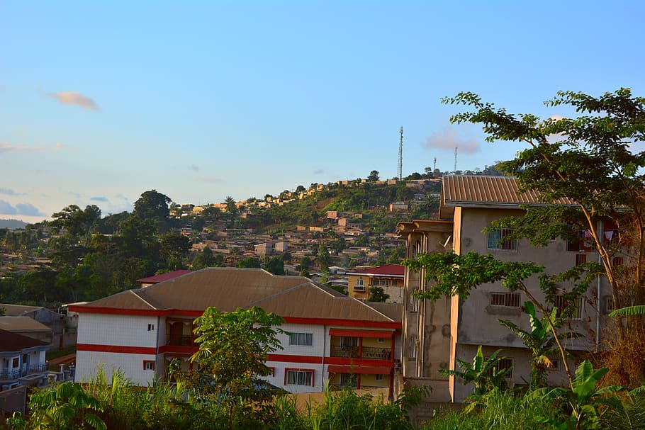 cameroon, yaounde, mendong camp sic, urban, landscape, green, HD wallpaper