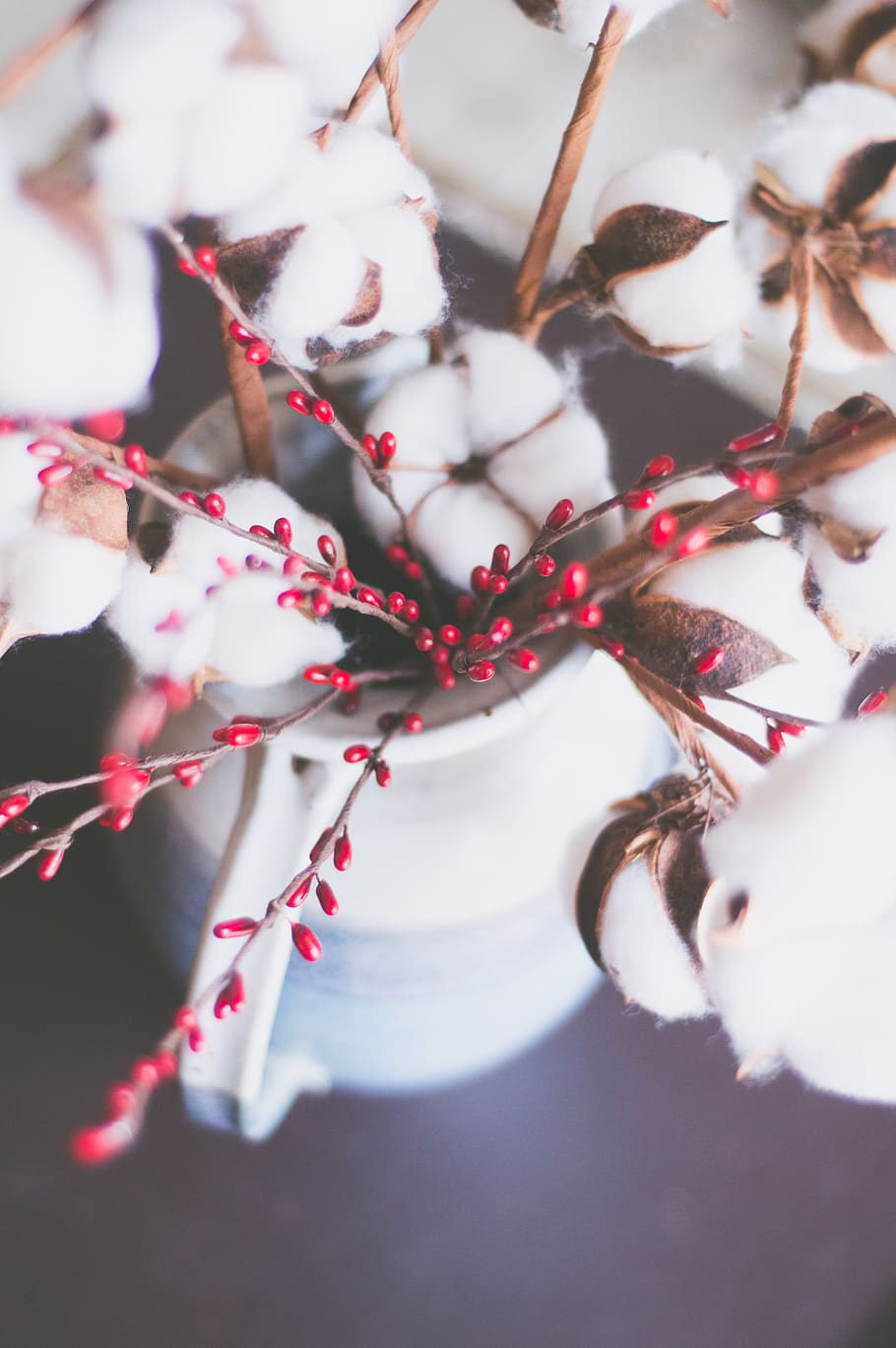 Selective Focus Photography Of Cotton Flower, bloom, blossom HD wallpaper