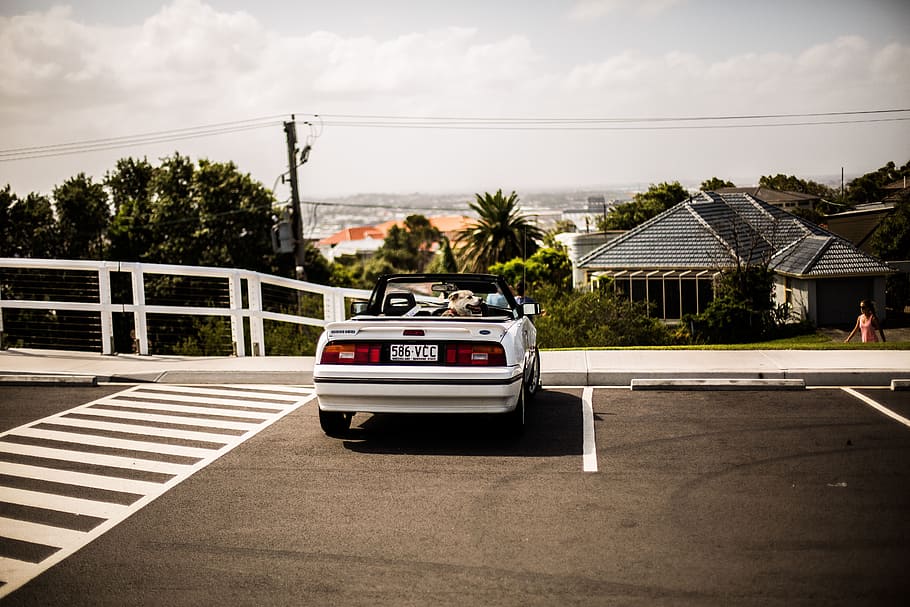 road, trip, pedestrian, car, vehicle, travel, house, trees HD wallpaper