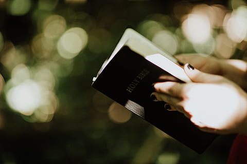 selective focus photography of person holding Holy Bible, scripture HD wallpaper