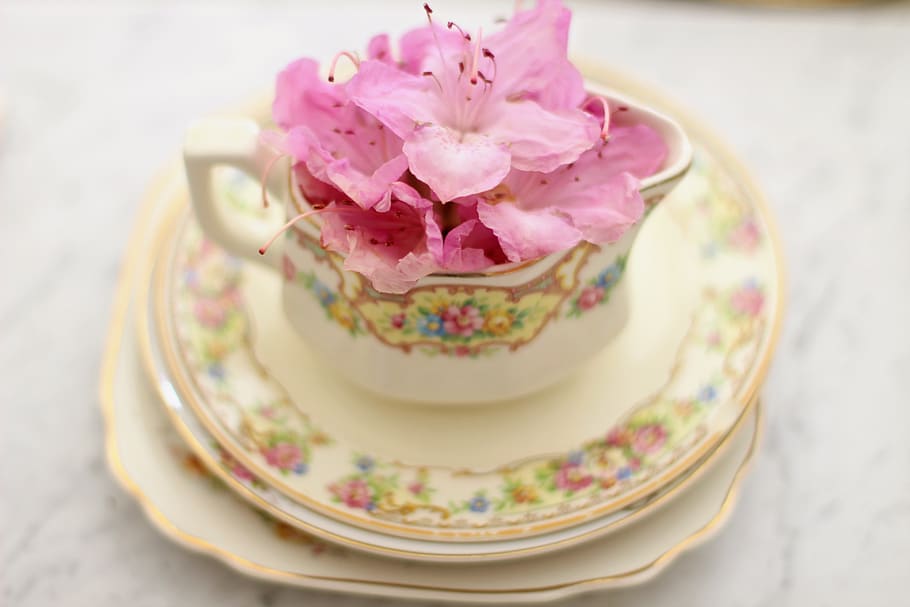 tea cup, coffee cup, creamer, vintage flowers, beverage, breakfast, HD wallpaper