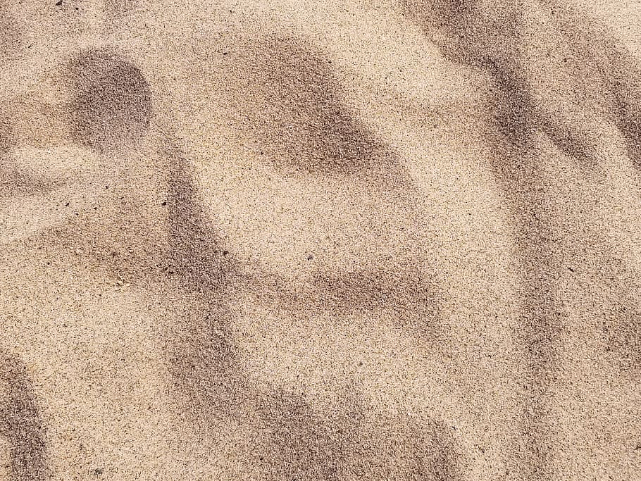 focus photo of brown sand, beach, texture, golden, closeup, backgrounds HD wallpaper