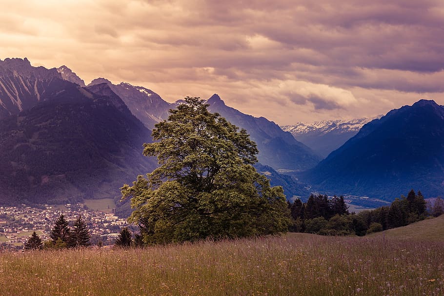 landscape, hill, mountain, mountainous, nature, tree, sky, environment HD wallpaper