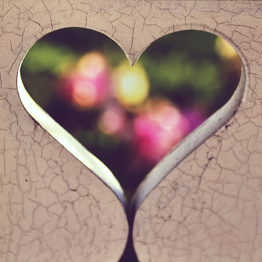 Photography of Heart Digital Wallpaper, blurred background, bokeh HD wallpaper