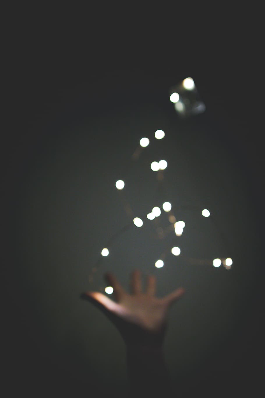 flare, light, lighting, hand, petal, blossom, flower, plant HD wallpaper