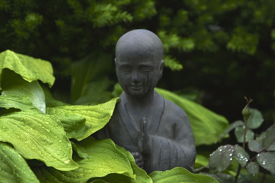 buddha, statue, sculpture, outdoor, garden, park, plants, leaves, HD wallpaper