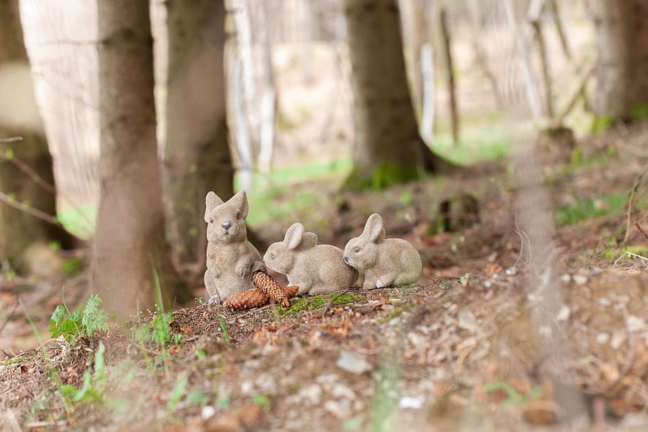 small, cute, sweet, nature, hare, holiday, festival, spring HD wallpaper