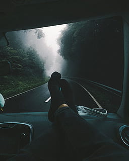 trees, forest, fog, chill, adventure, lifestyle, road, roadtrip HD wallpaper