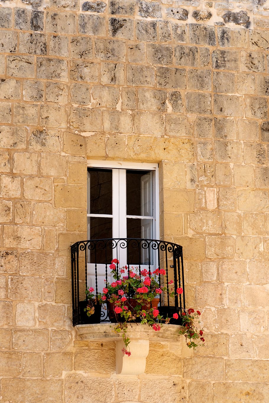 railing, plant, wall, blossom, flower, handrail, banister, apparel HD wallpaper