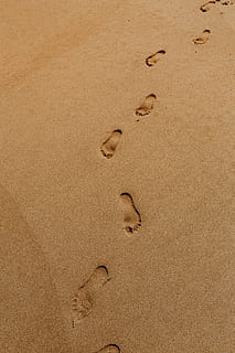 Footprints on a sandy beach, Portugal, ocean, sea, shore, summer HD wallpaper