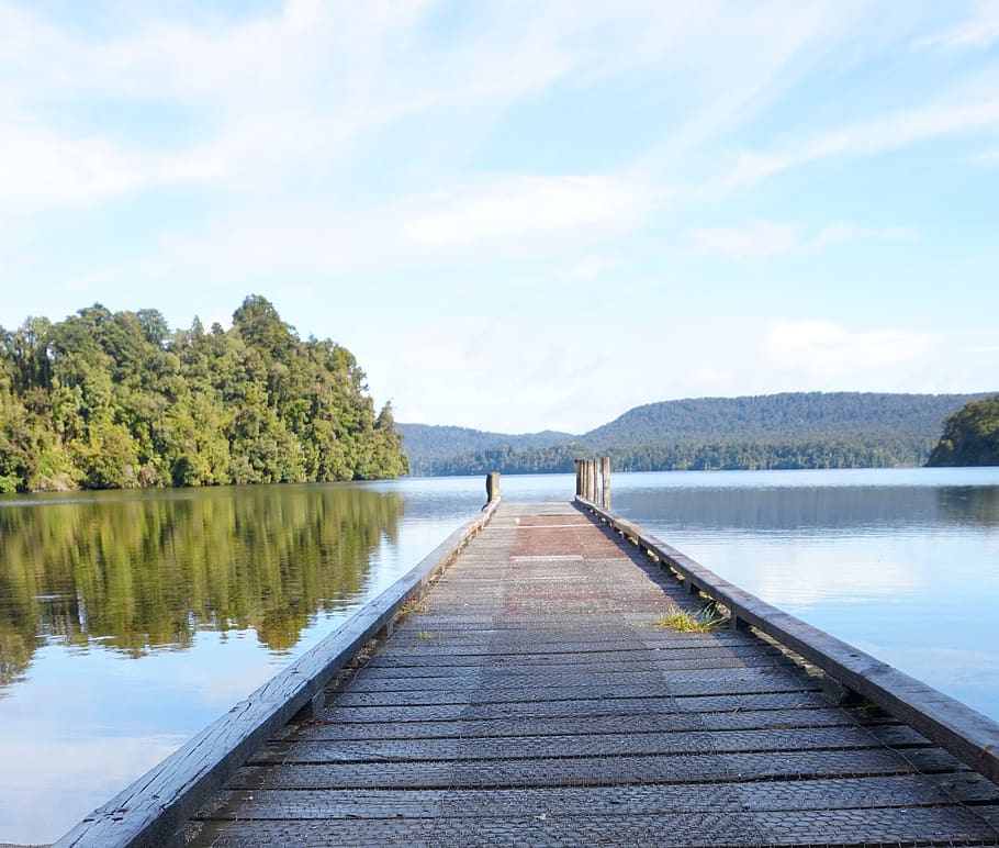 south island, water, tree, sky, plant, the way forward, direction HD wallpaper