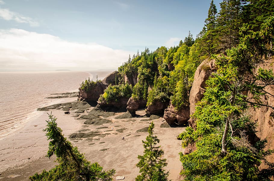 canada, british columbia, river, trees, coast, cliffs, rocks HD wallpaper