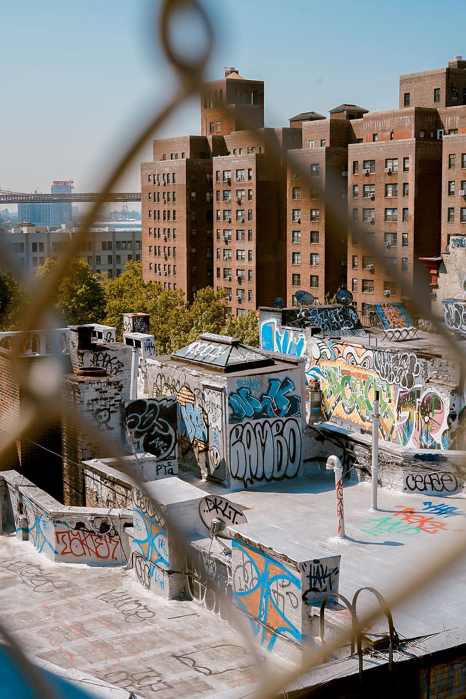 buildings with graffiti arts, architecture, built structure, building exterior HD wallpaper
