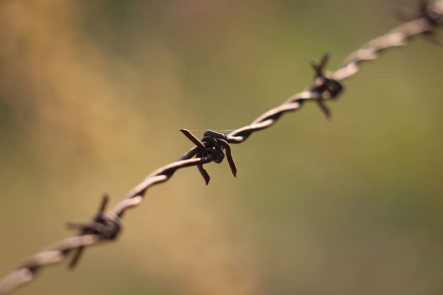 wire, metal, iron, barbed, fence, rust, barrier, old, security HD wallpaper