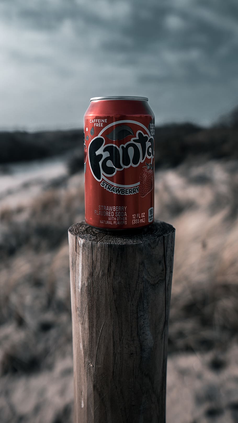 Fanta can on top of wooden post, tin, soda, drink, beverage, the hague, HD wallpaper