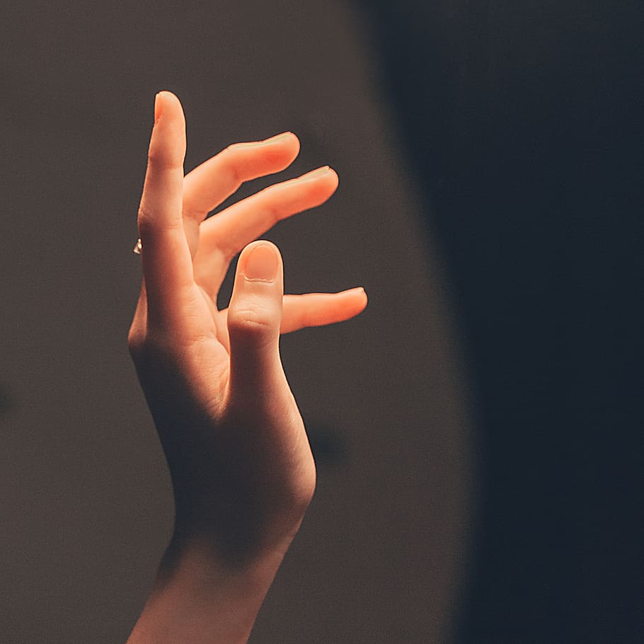 Person's Hand in Shallow Photo, fingers, reaching, human hand