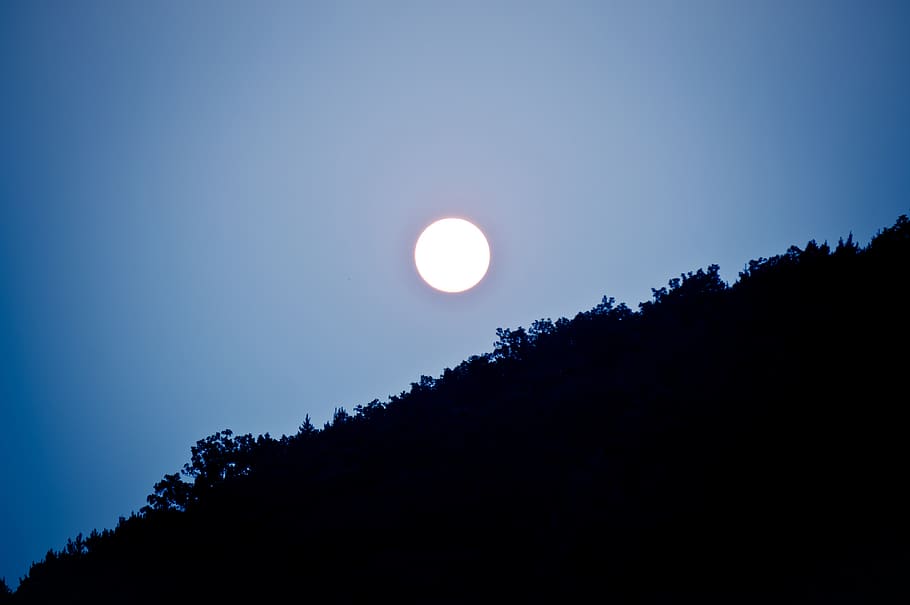 forest, tree, sun, blue, sky, beauty in nature, moon, scenics - nature HD wallpaper