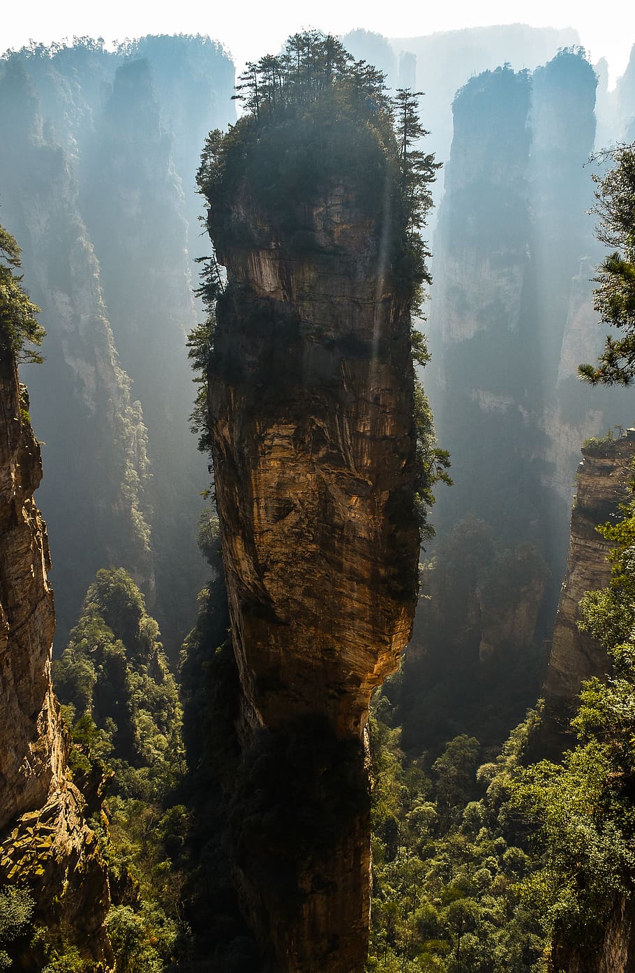 green trees on brown cliff, plant, mountain, tranquil scene, beauty in nature HD wallpaper