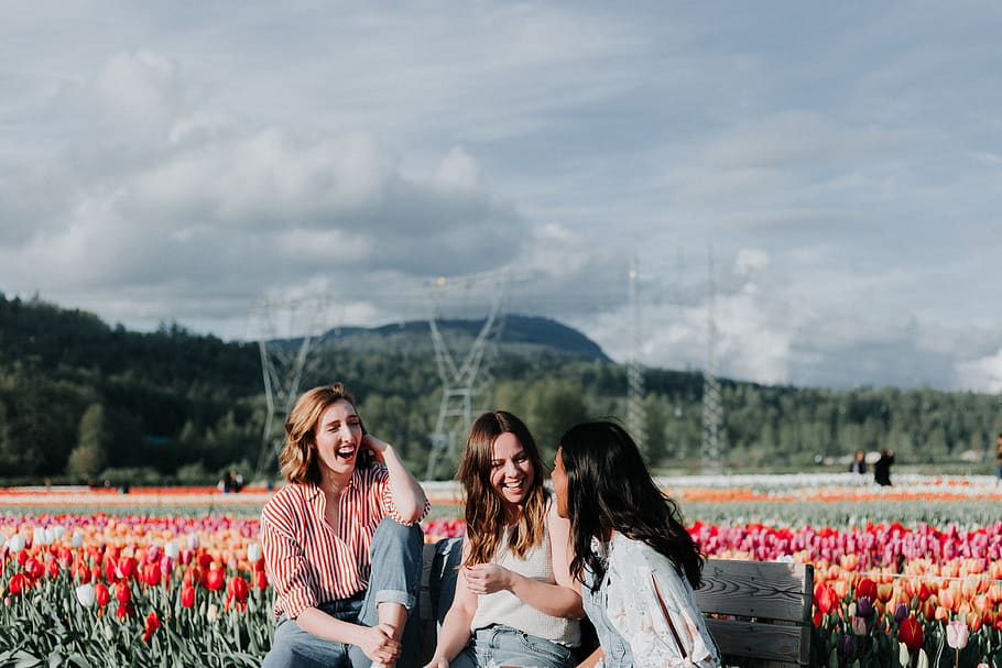 3 women sitting on bench near the flowers, happiness, smiling HD wallpaper