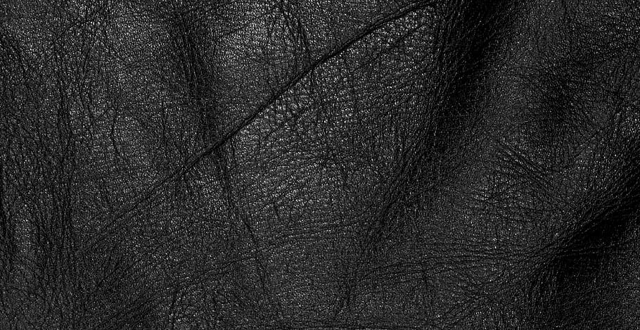 leather, light, black, material, rough, skin, tree, no people